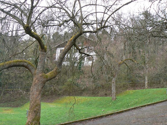 col de Senmoz (74)